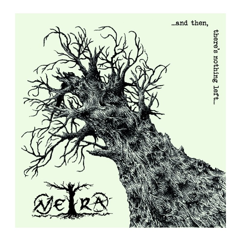 Netra - And there is nothing left (LP)