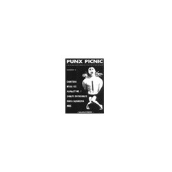 Punx Picnic n2 - videozine