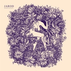Jarod - Drosera (LP)