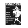 Punx Picnic n2 - videozine